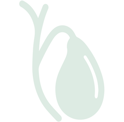 Healthy Bile Flow
